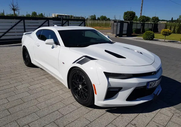 chevrolet camaro Chevrolet Camaro cena 102000 przebieg: 133000, rok produkcji 2018 z Mrocza